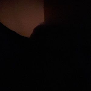 Meet your Posher, Lynn